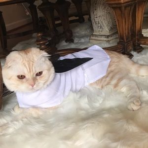 Welcome to my closet❣️